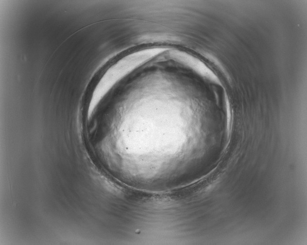 X0000068720983200605121447