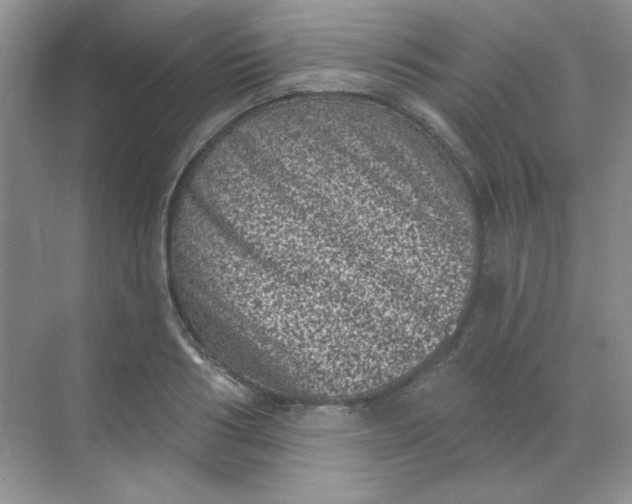 X0000068720986200605121447