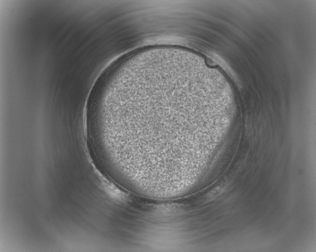 X0000068720988200605121447