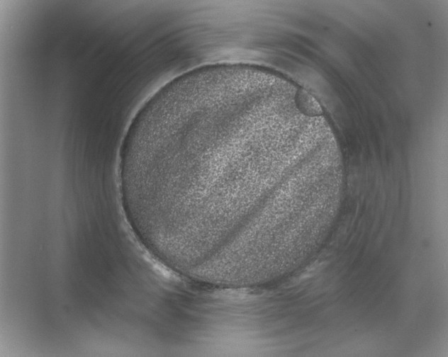 X0000068720990200605121447