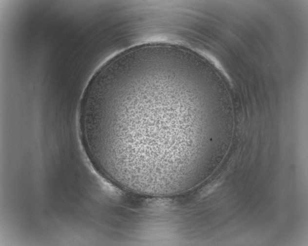 X0000068720991200605121447