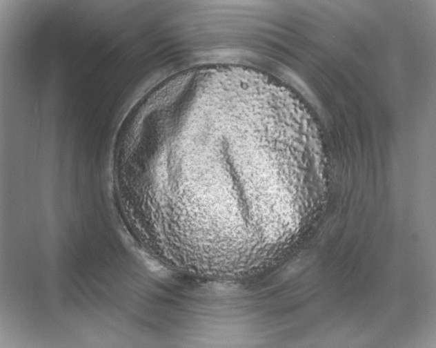 X0000068720994200605121447