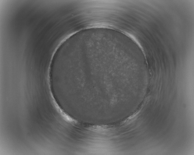 X0000068720995200605121447