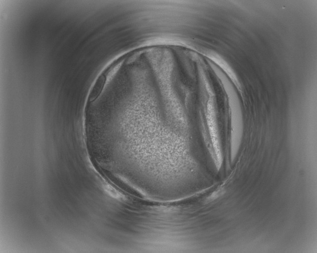 X0000068720996200605121447