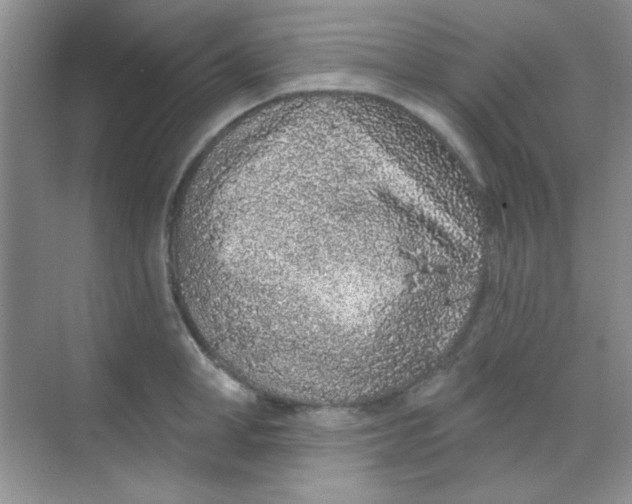 X0000068720998200605121447