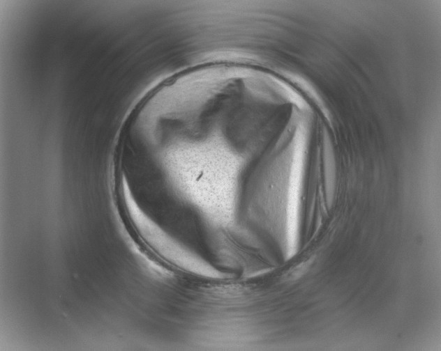 X0000068720999200605121447