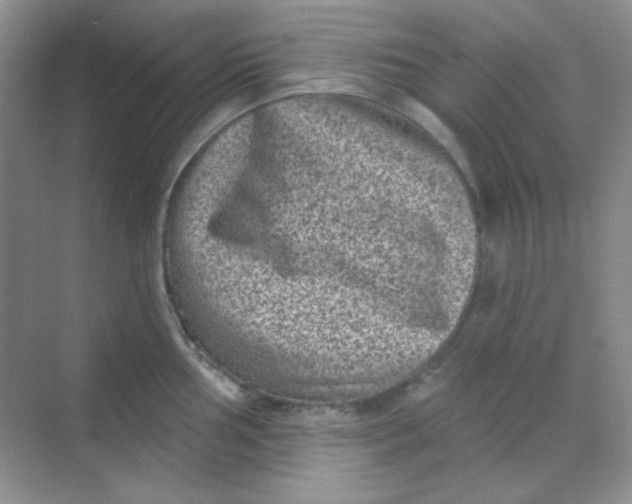 X0000068721002200605121447