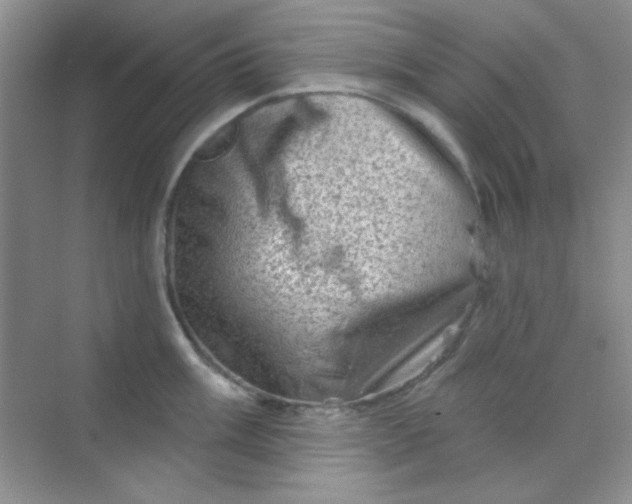 X0000068721003200605121447