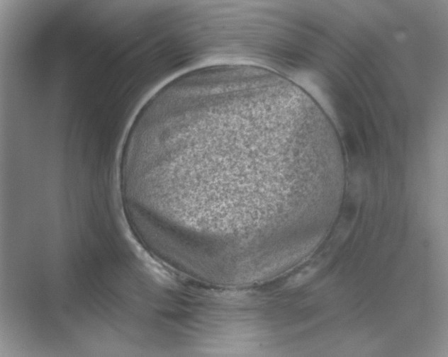 X0000068721004200605121447