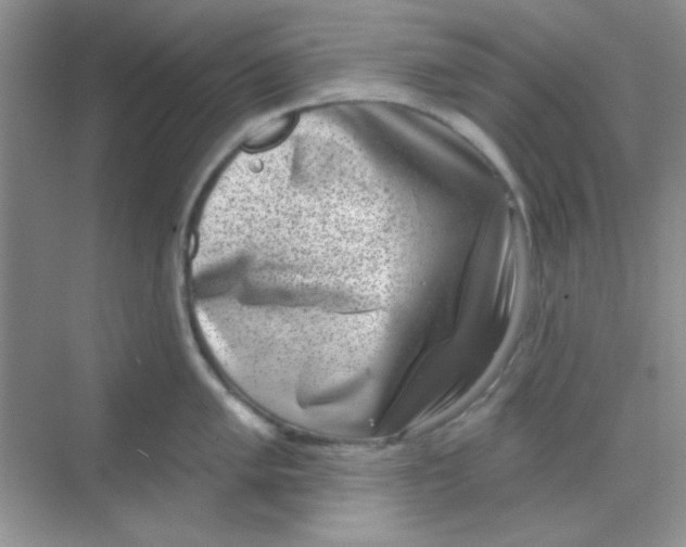 X0000068721005200605121447