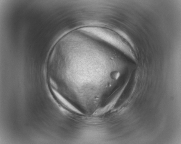 X0000068721007200605121447