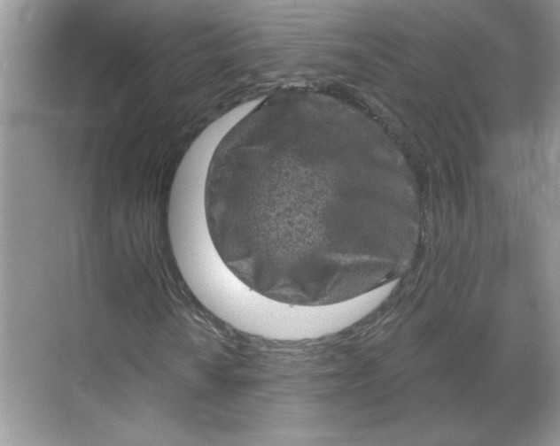 X0000068721010200605121446