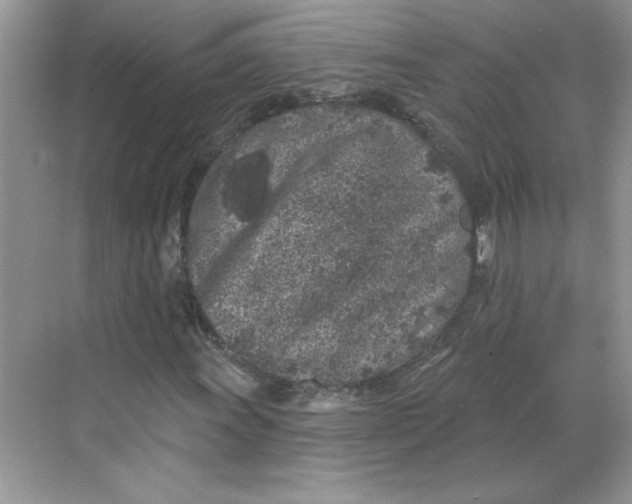 X0000068721011200605121446