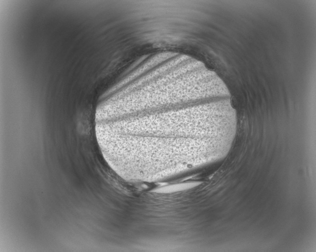 X0000068721012200605121446