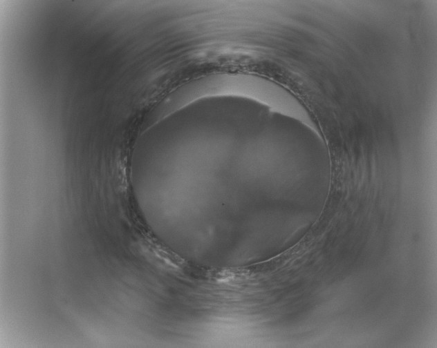 X0000068721013200605121446