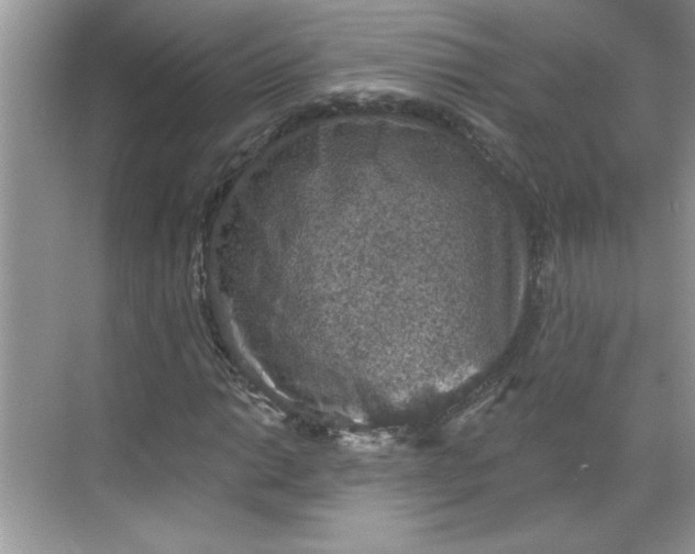 X0000068721014200605121446