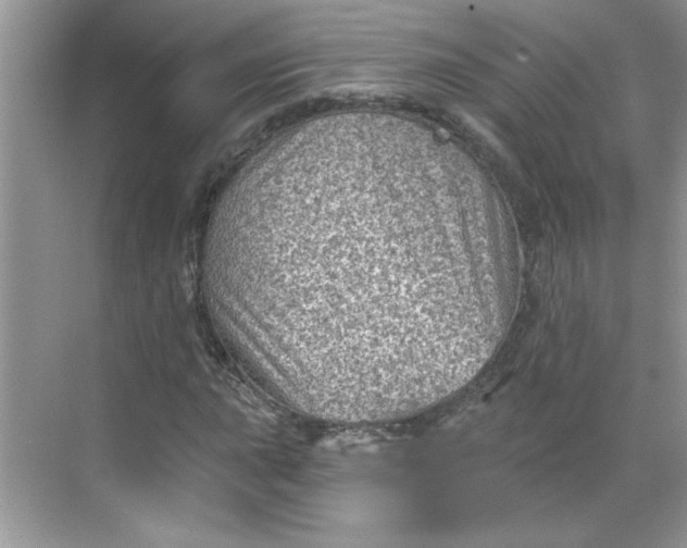 X0000068721015200605121446