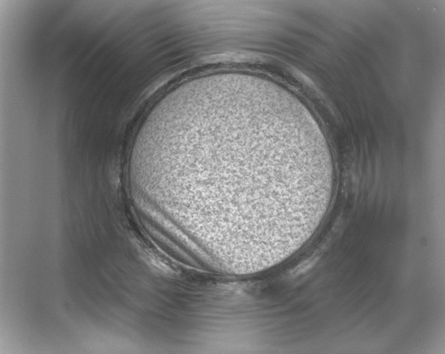 X0000068721017200605121446