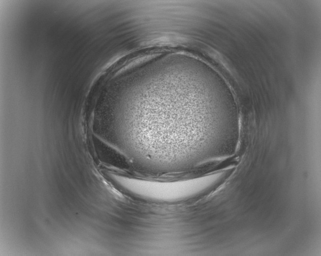 X0000068721018200605121446