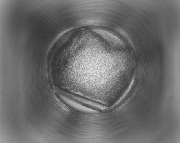 X0000068721019200605121446