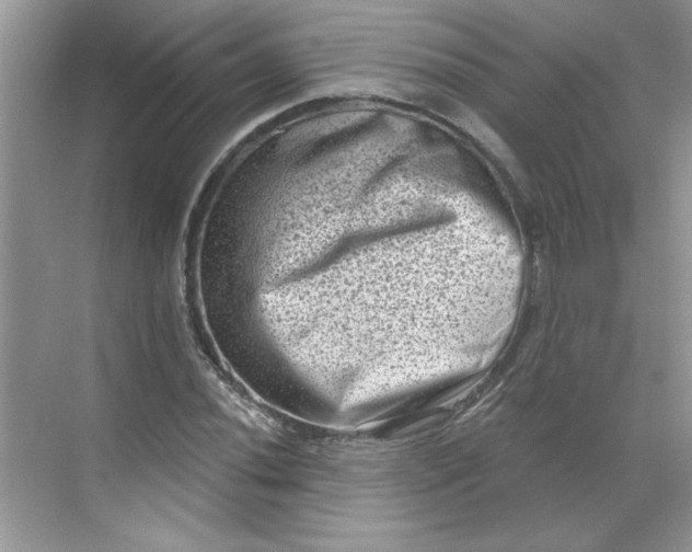 X0000068721020200605121446