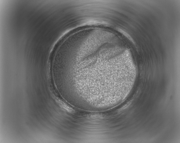 X0000068721021200605121446