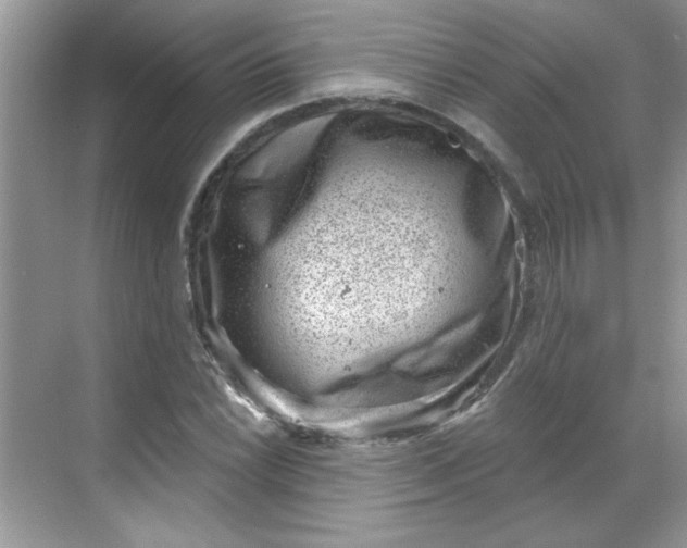 X0000068721022200605121446