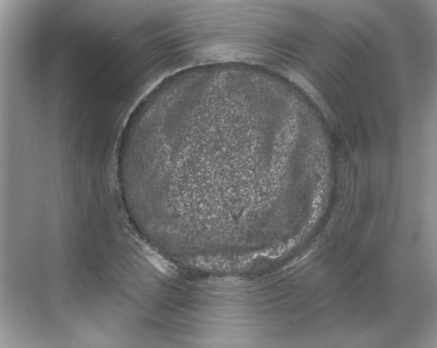 X0000068721023200605121446