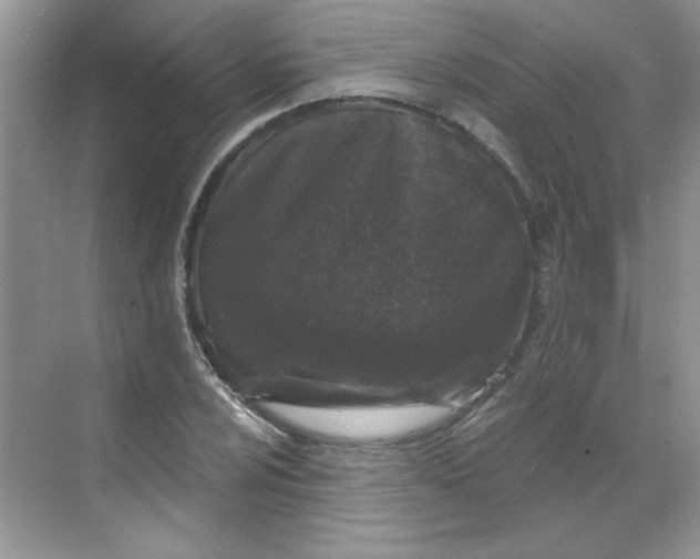 X0000068721024200605121447