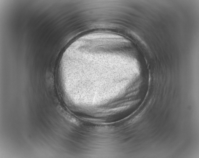 X0000068721025200605121447