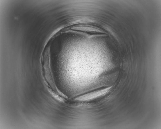 X0000068721026200605121447