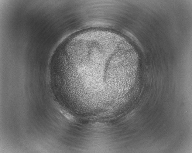 X0000068721027200605121447