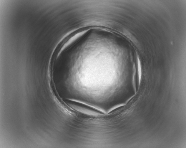 X0000068721028200605121447