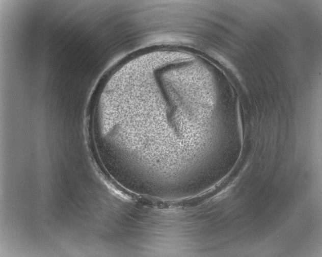 X0000068721029200605121447