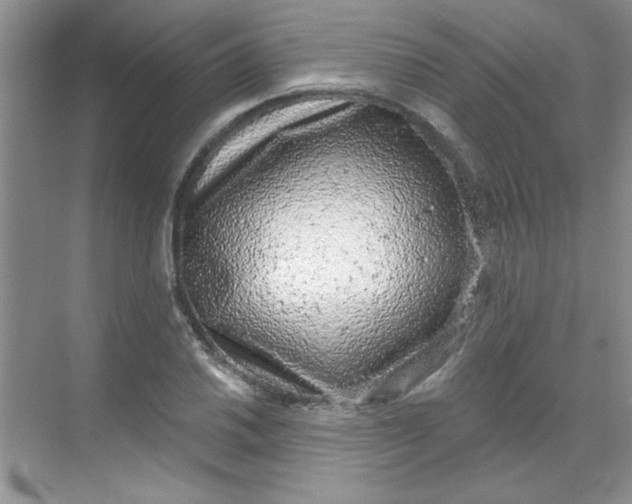 X0000068721030200605121447