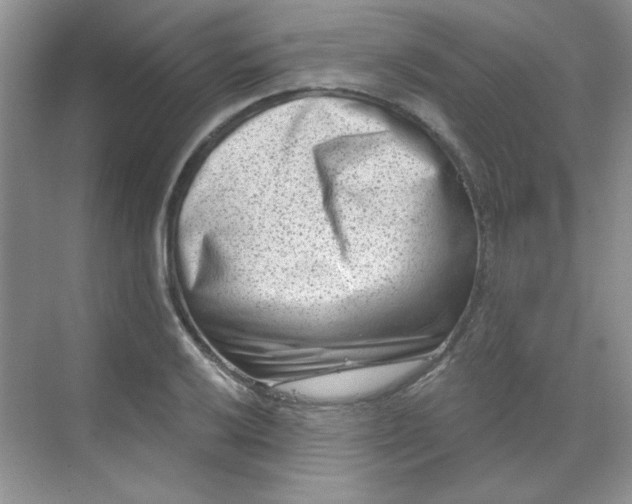 X0000068721032200605121447