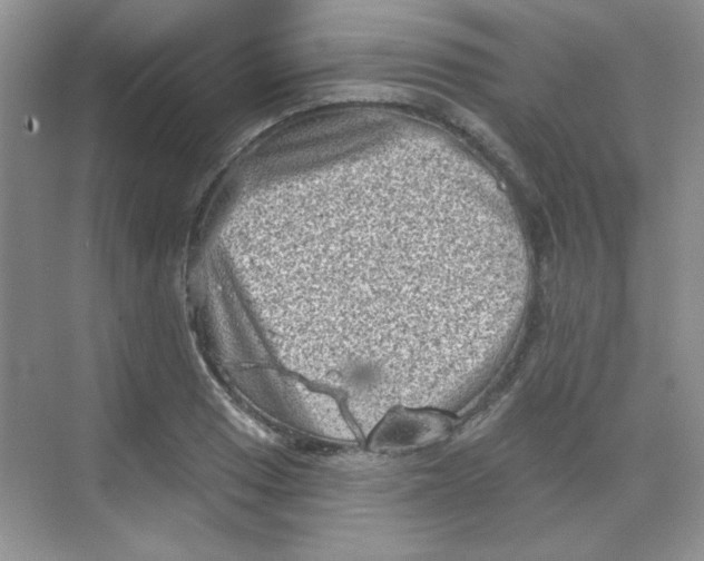 X0000068721033200605121447