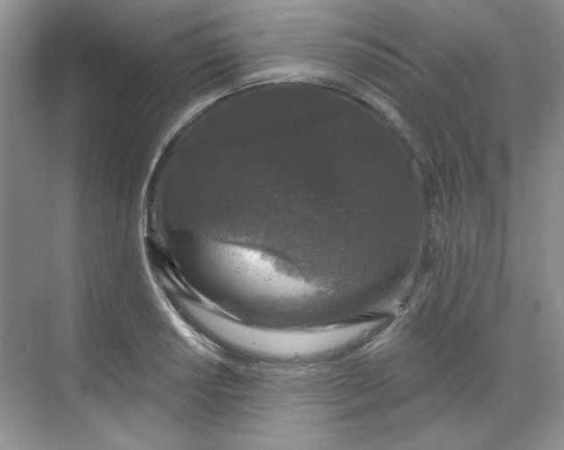 X0000068721034200605121447