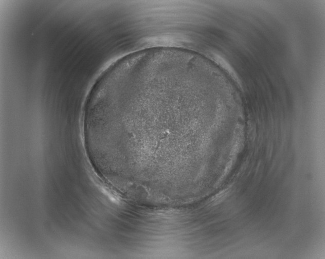 X0000068721035200605121447