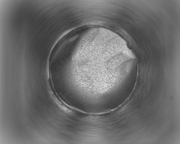 X0000068721036200605121447