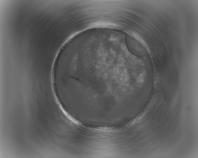 X0000068721037200605121447