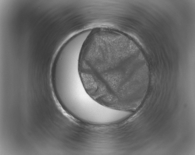 X0000068721038200605121447