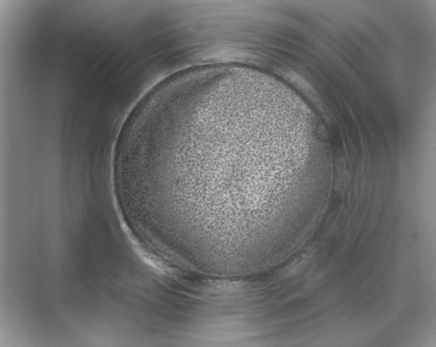 X0000068721039200605121447