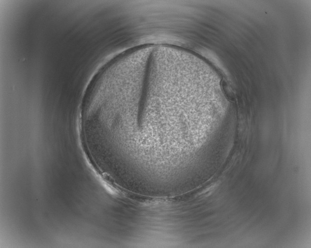 X0000068721040200605121447