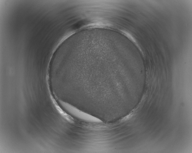 X0000068721042200605121447