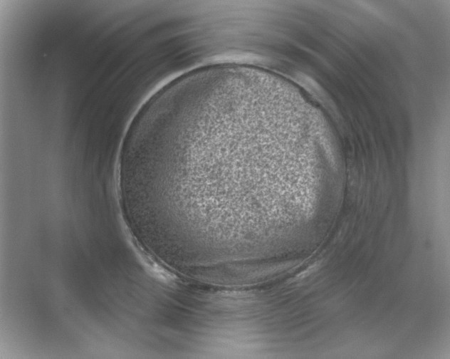 X0000068721044200605121447