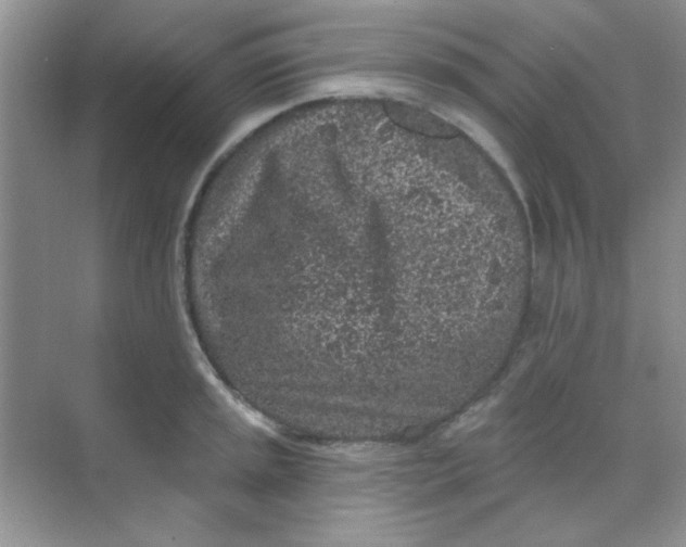 X0000068721045200605121447