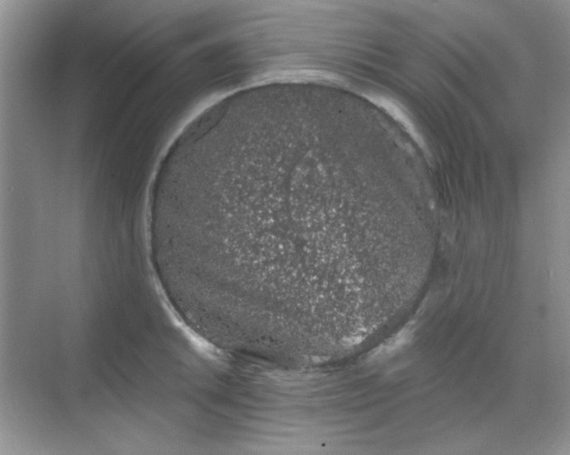 X0000068721046200605121447