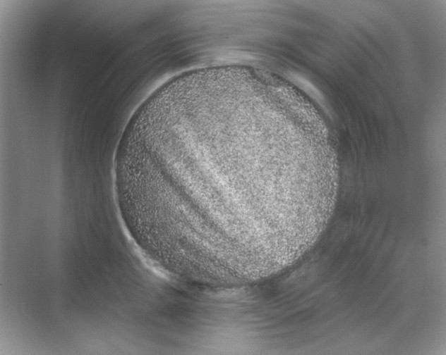 X0000068721047200605121447