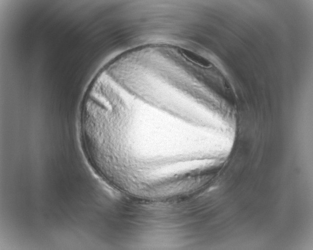 X0000068721048200605121447